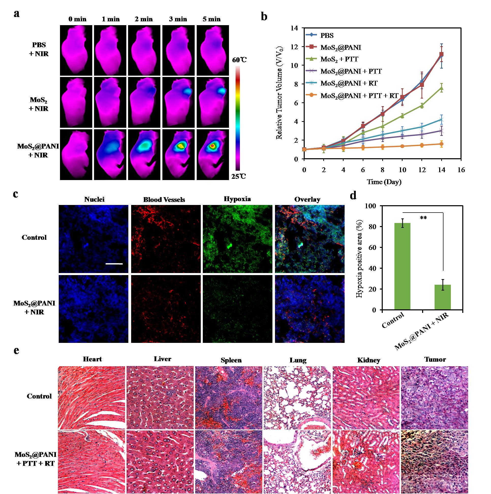 824738.jpg 图片4.jpg
